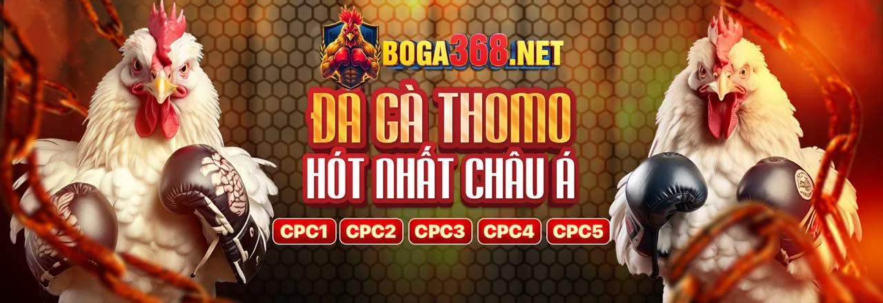 Hình ảnh giới thiệu về keonhacai3